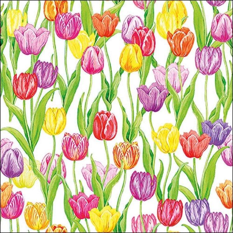 Ambiente Servietten Magic Tulips, Tulpen 33x33, 20 Stück