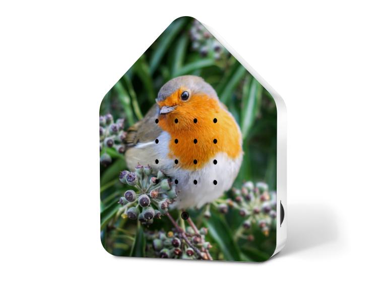 Zwitscherbox LE Happy Birds Robin Redbreast, Rotkehlchen, 11ZBX0301018
