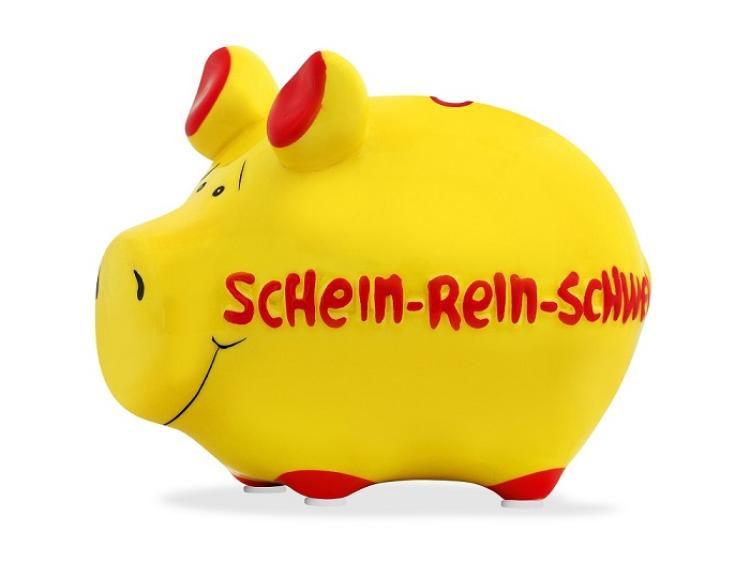 Sparschwein 'Schein-Rein-Schwein'