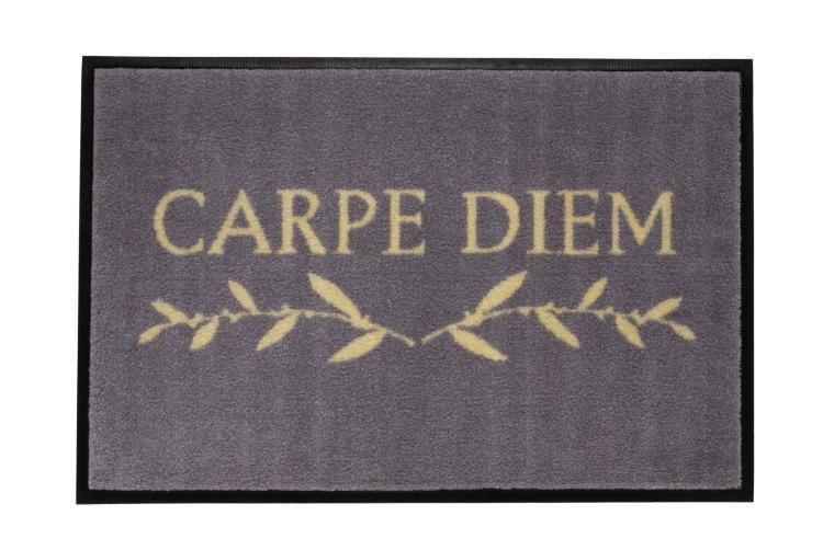 Gift Company Waschbare Fußmatte 'Carpe Diem' grau, 50007