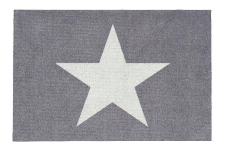 Gift Company Waschbare Fußmatte 'Stern' grau-weiß, 50229