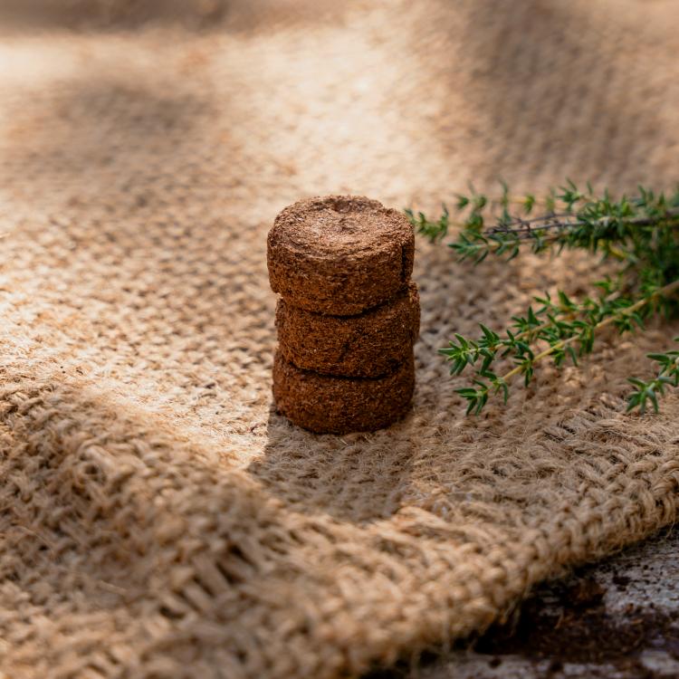 Farmers Love | Kräutersamen | 15 Sorten inkl. Aufzuchtanleitung und vieles mehr