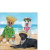 PPD Servietten Hunde Beach Party 25x25