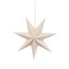 La Vida Weihnachtsstern, weiß mit Silberpunkten, Glitter, D20cm, 2224010