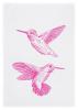 17;30 Geschirrtuch Kolibri pink, HW131A