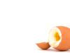 cregg der multifunktionale Eierköpfer, orange