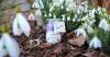 Candle Factory Baby-Jumbo Duftkerze im Weckglas, Lavendel Lemongrass, 308-059